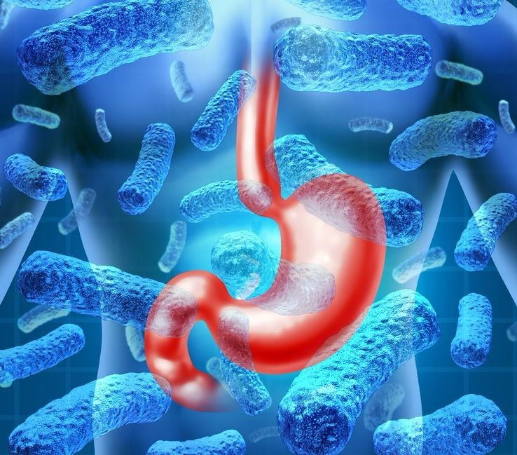 What are the causes of gastroenteritis?