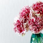 Cbd Oil –A New Paradigm Of Medicinal Remedy