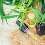 The Top 5 Tips For Choosing The Right Mobile App Development Company In Melbourne