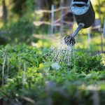 How To Pick the Right Handyman for Your Home