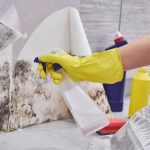 Things to consider about WINDOW SHADES