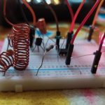 Wall Mold Can Wreck Your Walls, So Be Very Cautious