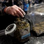 What to Look for in a Reputable Diesel Dealership in California